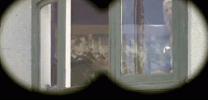 786_1000.gif