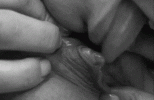 1ce3c1ade6671e4f00270228975d9f5355387555f986dd11.gif