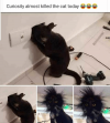 curiosity-almost-killed-the-cat-today-47-absolutely-hilarious-pictures-64188181.png curiosity-almost-killed-the-cat-today-47-absolutely-hilarious-pictures-64188181.png