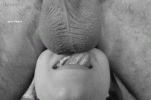 BDC60C61-4443-4476-853F-D9150B5FC883.gif