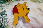 pooh.jpg