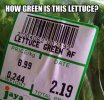 e2f339171637c4779cfa84174be6f909.jpg