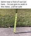 FB_IMG_1642974892821.jpg