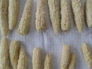 corn.jpg