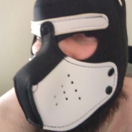 Pup