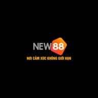 new882info4