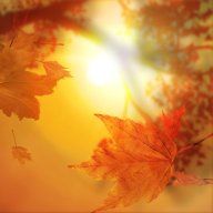 AutumnSun