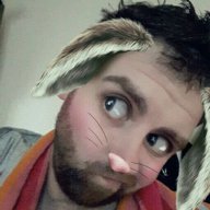 bryanthebear