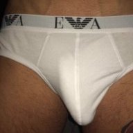 HungScottishBoy