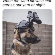 Kainy