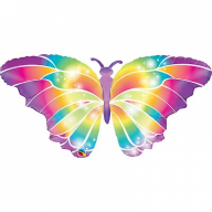 Rainbowbutterfly