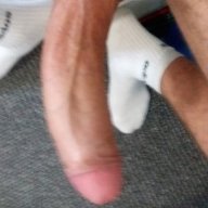 bimale31