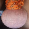 willy1ball