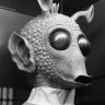 Mandragora