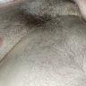 Dan74