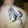 Lostwolf699