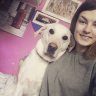 laurenthesubbypuppy