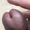 Hornyashell_harrogate