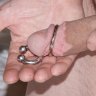 Pierced_Cock