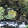 Sherthelock