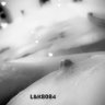 LandK8084