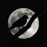 Full_Moon