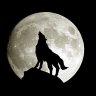 Wolf_man