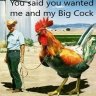 Mr_Humour