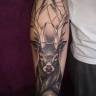 Cheshire29