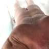 MrTickle711