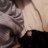 Pip1961