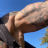 Chris1324