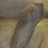 DickTurpin3107