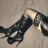 Emma_X_x
