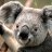 Brighton_Guy_34