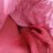 Pantiesnifer1