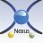nexus