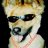 Woof