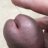 Hornyashell_harrogate