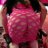 Layla_in_Leicester