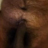 Kimo768