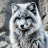 SilverFoxLondon