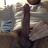 sexyfuckbear