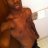 BIGBLACKBD